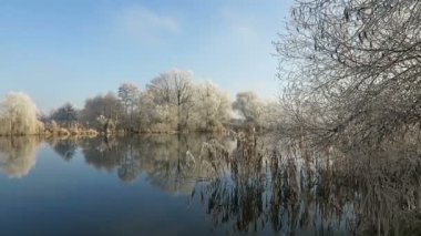 Havel Nehri 'nde rime frost manzarası (Havelland, Brandenburg - Almanya).