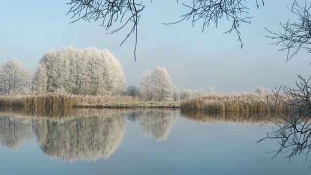 Rijme vorst landschap bij Havel rivier (Havelland, Brandenburg - Duitsland). — Stockvideo