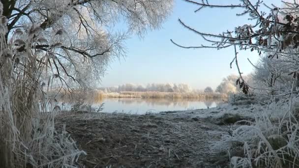 Rime gelo paesaggio al fiume Havel (Havelland, Brandeburgo - Germania ). — Video Stock