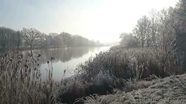 Rime frost landscape at Havel river (Havelland, Brandenburg - Germany). — Stock Video