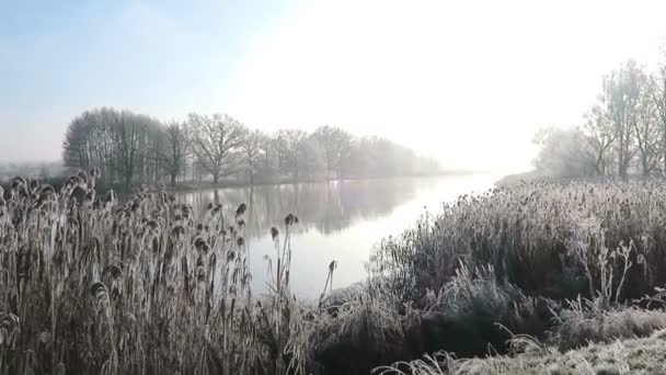 Rime frost landscape at Havel river (Havelland, Brandenburg - Germany). — Stock Video