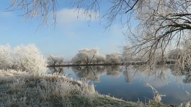 Reifglätte an der Havel (Havelland, Brandenburg - Deutschland). — Stockvideo