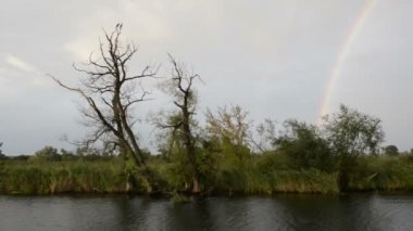 Havel Nehri boyunca bir tekne ile sürüş. Gökkuşağı (Brandenburg, Almanya) ile yağmur. Havelland.