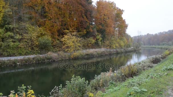 Осенний пейзаж реки Изар рядом с Пуллахом в Баварии. Недалеко от Мюнхена. (Германия ) — стоковое видео