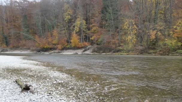 Höstlandskap Isar floden bredvid Pullach i Bayern. Nära München. (Tyskland) — Stockvideo