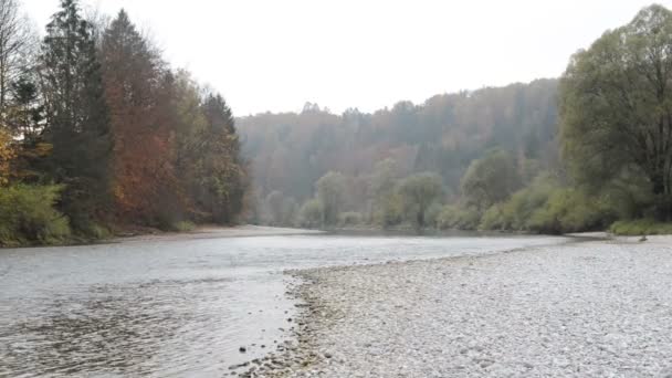 Осенний пейзаж реки Изар рядом с Пуллахом в Баварии. Недалеко от Мюнхена. (Германия ) — стоковое видео