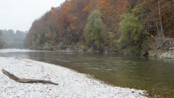 Podzimní krajina řeky Isar vedle Pullach v Bavorsku. Poblíž Mnichova. (Německo) — Stock video