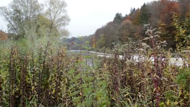 Isar 河旁边 Pullach 在巴伐利亚的秋季景观。近慕尼黑。（德国) — 图库视频影像
