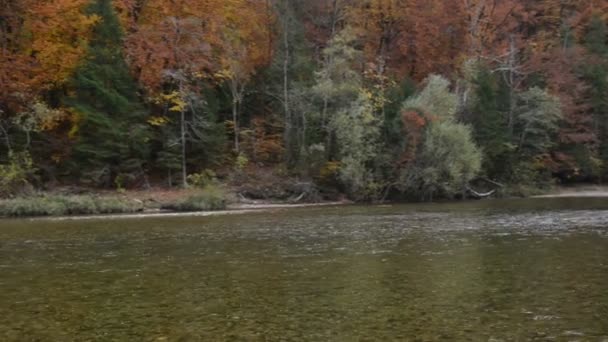 Jesienny krajobraz rzeki Izary, tuż obok Pullach w Bawarii. Blisko miasta Monachium. (Niemcy) — Wideo stockowe
