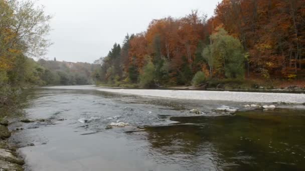 Autumn landscape of Isar river next to Pullach in Bavaria. Near Munich. (Germany) — Stock Video