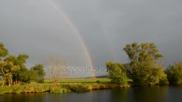 Körning med båt längs floden Havel. Regnar med regnbåge (Brandenburg, Tyskland). Havelland. — Stockvideo