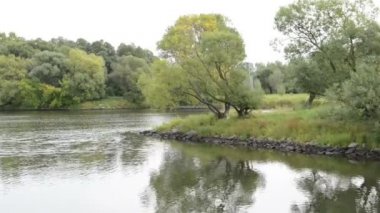 Söğüt ağacı ve çayırlar, Havel Nehri yatay olarak geçiyor. Havelland (Brandenburg, Almanya)