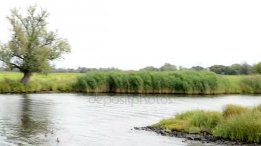 Söğüt ağacı ve çayırlar, Havel Nehri yatay olarak geçiyor. Havelland (Brandenburg, Almanya)