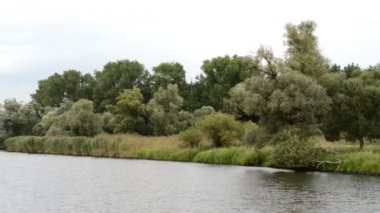 Söğüt ağacı ve çayırlar, Havel Nehri yatay olarak geçiyor. Havelland (Brandenburg, Almanya)