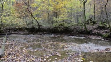 Bavyera (Almanya) Maisinger Schlucht (Kanyon) üzerinden yol hiking. küçük nehir akıyor. Kayın ormanı çevresinde.
