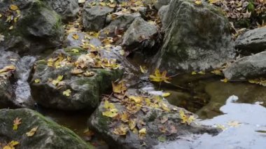 Sonbahar Maisinger Schlucht Kanyon Bavaria (Almanya için zamanında)