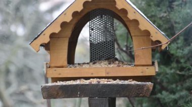 kış vakti evde ahşap kuş besleyici