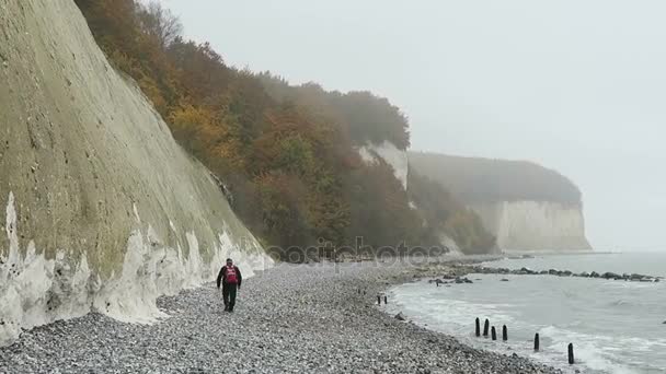 Sassnitz, Mecklenburg-Vorpommern / ALEMANHA 19 de outubro de 2016: Pessoas caminhando ao longo do penhasco rochoso de giz da ilha de Rugen no outono. Floresta de faia no topo do penhasco . — Vídeo de Stock