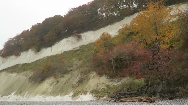 Sassnitz, Meclemburgo-Pomerania Anteriore / GERMANIA 19 ottobre 2016: La gente cammina lungo la scogliera rocciosa di gesso dell'isola di Rugen in autunno. Foresta di faggio in cima alla scogliera . — Video Stock