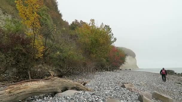 Sassnitz, Mecklenburg-Vorpommern / ALEMANHA 19 de outubro de 2016: Pessoas caminhando ao longo do penhasco rochoso de giz da ilha de Rugen no outono. Floresta de faia no topo do penhasco . — Vídeo de Stock