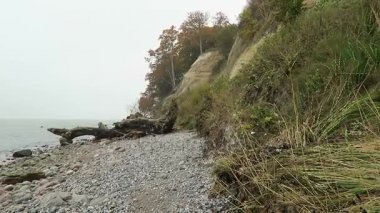Rügen Adası tebeşir rock cliff peyzaj sonbahar. renkli kayın ağacı orman. (Mecklenburg-Vorpommern, Germany). Baltık Denizi