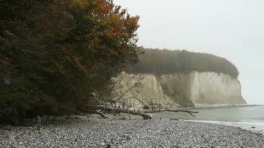 Rügen Adası tebeşir rock cliff peyzaj sonbahar. renkli kayın ağacı orman. (Mecklenburg-Vorpommern, Germany). Baltık Denizi