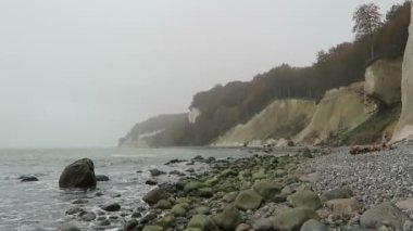 Rügen Adası tebeşir rock cliff peyzaj sonbahar. renkli kayın ağacı orman. (Mecklenburg-Vorpommern, Germany). Baltık Denizi