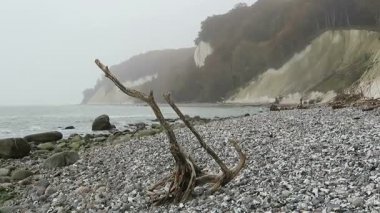 Rügen Adası tebeşir rock cliff peyzaj sonbahar. renkli kayın ağacı orman. (Mecklenburg-Vorpommern, Germany). Baltık Denizi