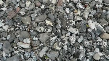 Rügen Adası tebeşir rock cliff, Çakmaktaş Close-Up