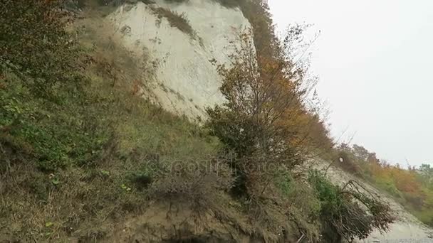 Rügen Adası tebeşir rock cliff peyzaj sonbahar. renkli kayın ağacı orman. (Mecklenburg-Vorpommern, Germany). Baltık Denizi — Stok video