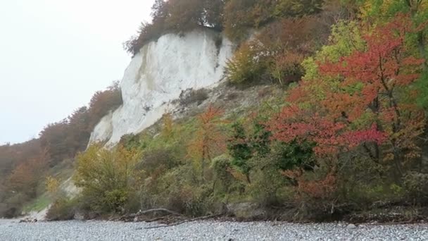 吕根岛岛粉笔岩悬崖景观在秋天的时间。多彩的山毛榉树森林。（梅克伦堡-前，德国）。波罗地海 — 图库视频影像