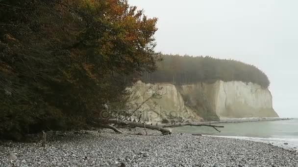Rugen eiland krijt rots rots landschap herfst tijdig. kleurrijke beukenbos boom. (Mecklenburg-Vorpommern, Germany). Baltische Zee — Stockvideo