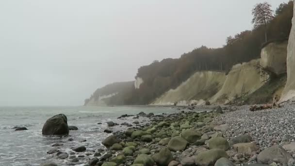 Rügen sziget kréta szikla szikla táj őszi időben. színes bükk fa erdei. (Mecklenburg-Vorpommern, Németország). Balti-tenger — Stock videók