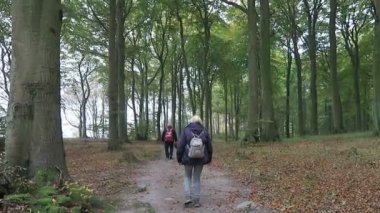 Sassnitz, Mecklenburg-Vorpommern / Almanya 19 Ekim 2016: iki kişi Rügen kayın ormanı boyunca yürüyüş ada tebeşir rock uçurumun tepesinde. Baltık Denizi