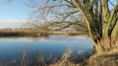 Havel Nehri manzara kış zamanında. Biraz güneş ve çevresinde yüzen buz kütlesi buz. (Havelland, Almanya)