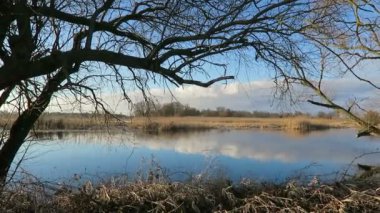 Havel Nehri manzara kış zamanında. Biraz güneş ve çevresinde yüzen buz kütlesi buz. (Havelland, Almanya)