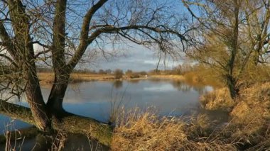 Havel Nehri manzara kış zamanında. Biraz güneş ve çevresinde yüzen buz kütlesi buz. (Havelland, Almanya)