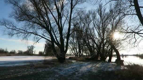 겨울철에 하 벨 강 풍경입니다. 태양과 주위 얼음 빙원의 작은 비트. (Havelland, 독일) — 비디오