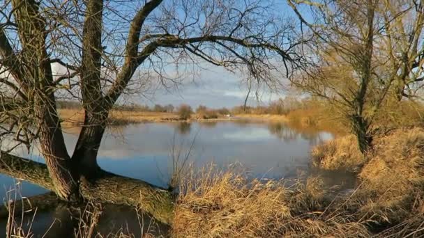 Havel flodlandskap vintertid. liten bit av solen och isflak runt. (Havelland, Tyskland) — Stockvideo