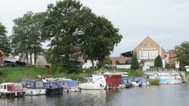 büyük siyah karabatak shore Havel River bir ağaçta oturuyor. tipik peyzaj çayır ve willow ile çalışır. Havelland bölge. (Almanya)