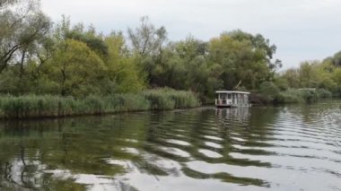 Havel Nehri yakınındaki Köyü Scholene. Shore Havel river adlı bir ev Tekne ve willow çalışır. Dalgalar tekne. (Brandenburg, Almanya)