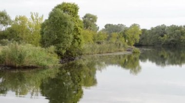 Havel Nehri boyunca tekne ile sürüş. tipik peyzaj çayır ve willow ile çalışır. Havelland bölge. (Almanya)