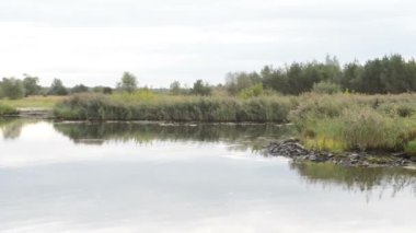 Havel Nehri boyunca tekne ile sürüş. tipik peyzaj çayır ve willow ile çalışır. Havelland bölge. (Almanya)