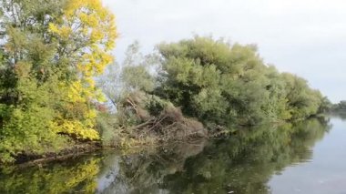 Havel Nehri boyunca tekne ile sürüş. tipik peyzaj çayır ve willow ile çalışır. Havelland bölge. (Almanya)
