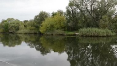 Havel Nehri boyunca tekne ile sürüş. tipik peyzaj çayır ve willow ile çalışır. Havelland bölge. (Almanya)