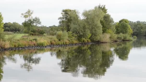 Водіння з човні по річці Хафель. Типовий ландшафт з луків і верби намагається. Havelland регіону. (Німеччина) — стокове відео