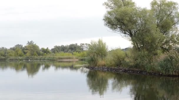 Οδήγηση με βάρκα κατά μήκος του ποταμού Havel. τυπικό τοπίο με λιβάδια και ιτιά προσπαθεί. Havelland περιοχή. (Γερμανία) — Αρχείο Βίντεο