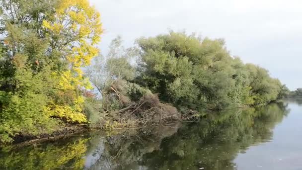 Driving with boat along Havel river. typical landscape with meadows and willow tries. Havelland region. (Germany) — Stock Video