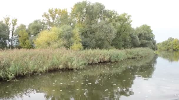 ハーフェル川沿いのボートで運転。牧草地と柳の典型的な風景を試みます。Havelland 地域。(ドイツ) — ストック動画