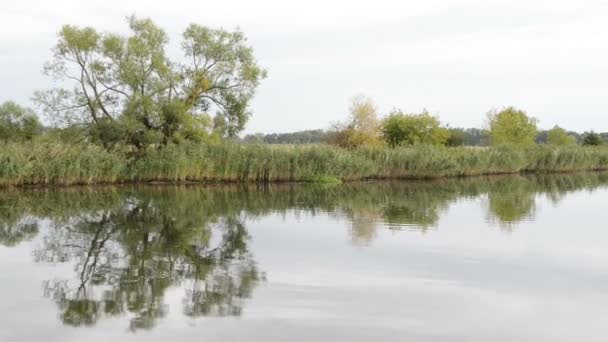 conduite en bateau le long de la rivière Havel. paysage typique avec prairies et saules essaie. Région de Havelland. (Allemagne )